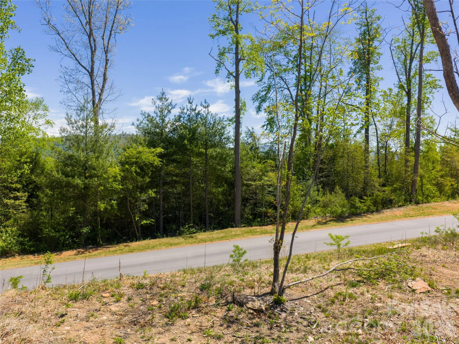 693 Tea House Drive #905 - Photo 15