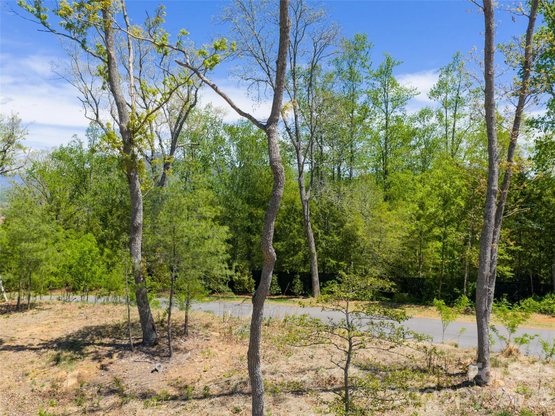 693 Tea House Drive #905 - Photo 16