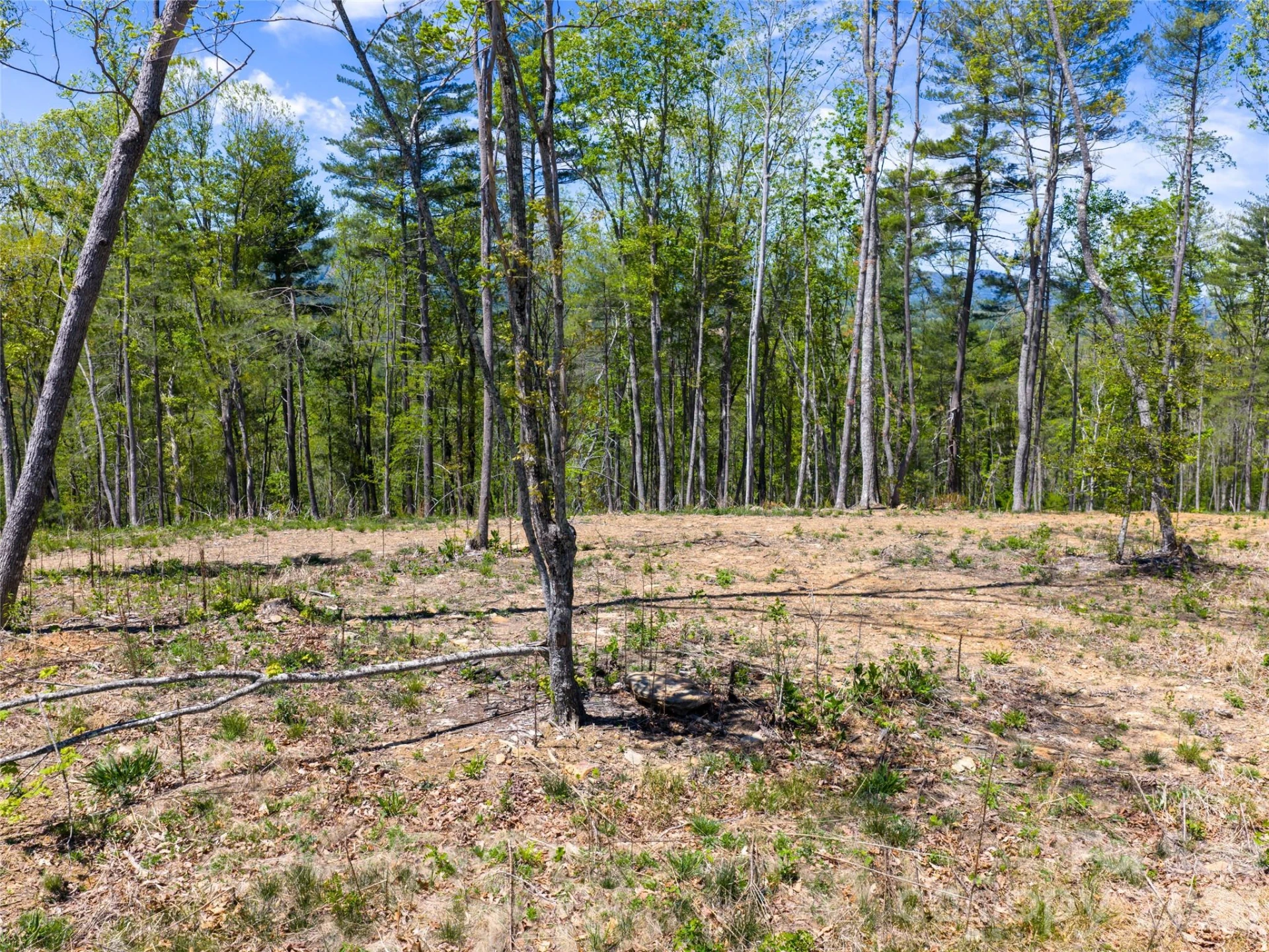 693 Tea House Drive #905 - Photo 18