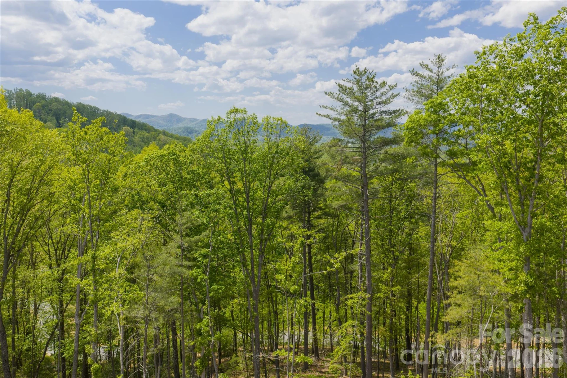 693 Tea House Drive #905 - Photo 3