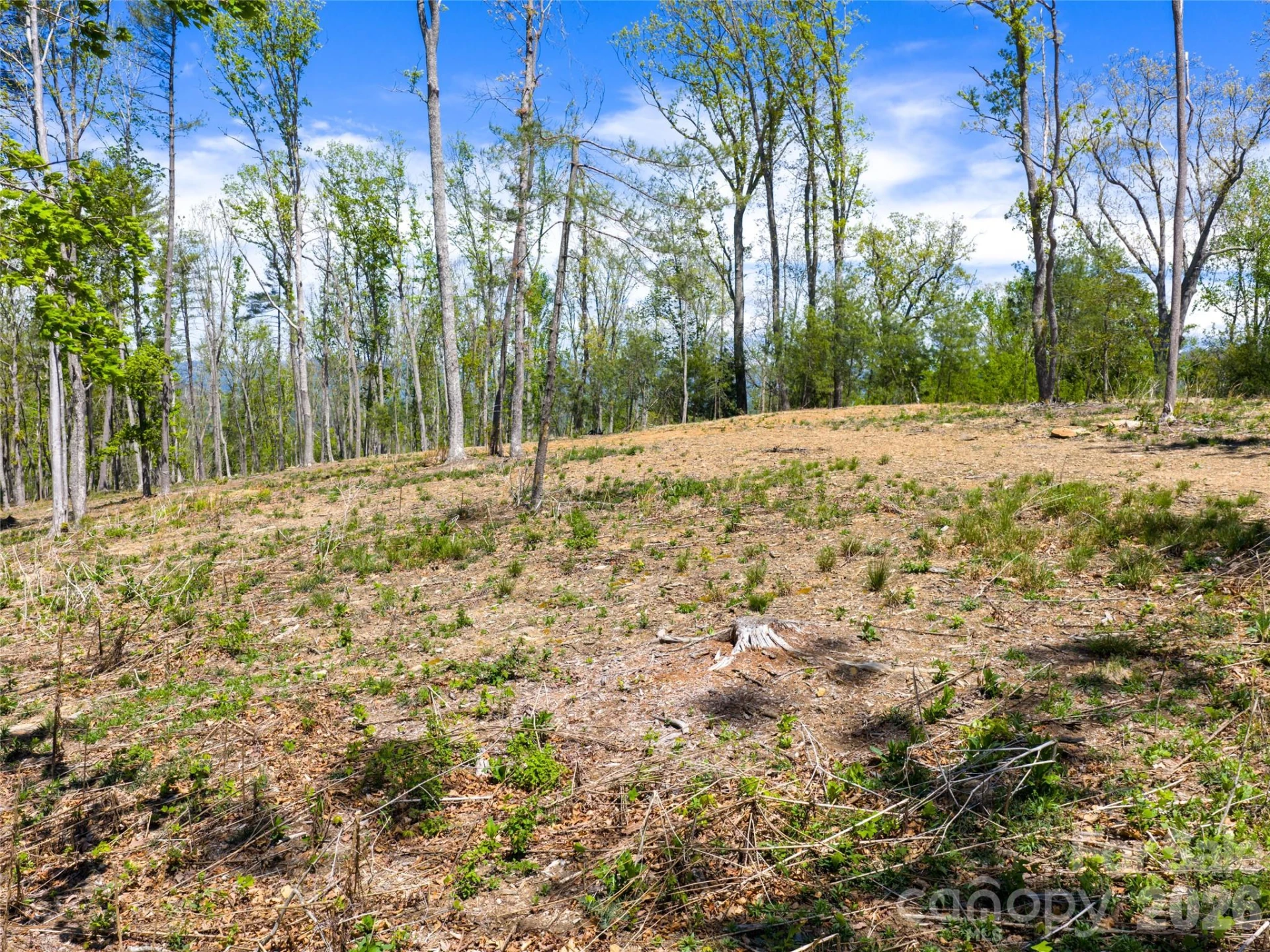 693 Tea House Drive #905 - Photo 22