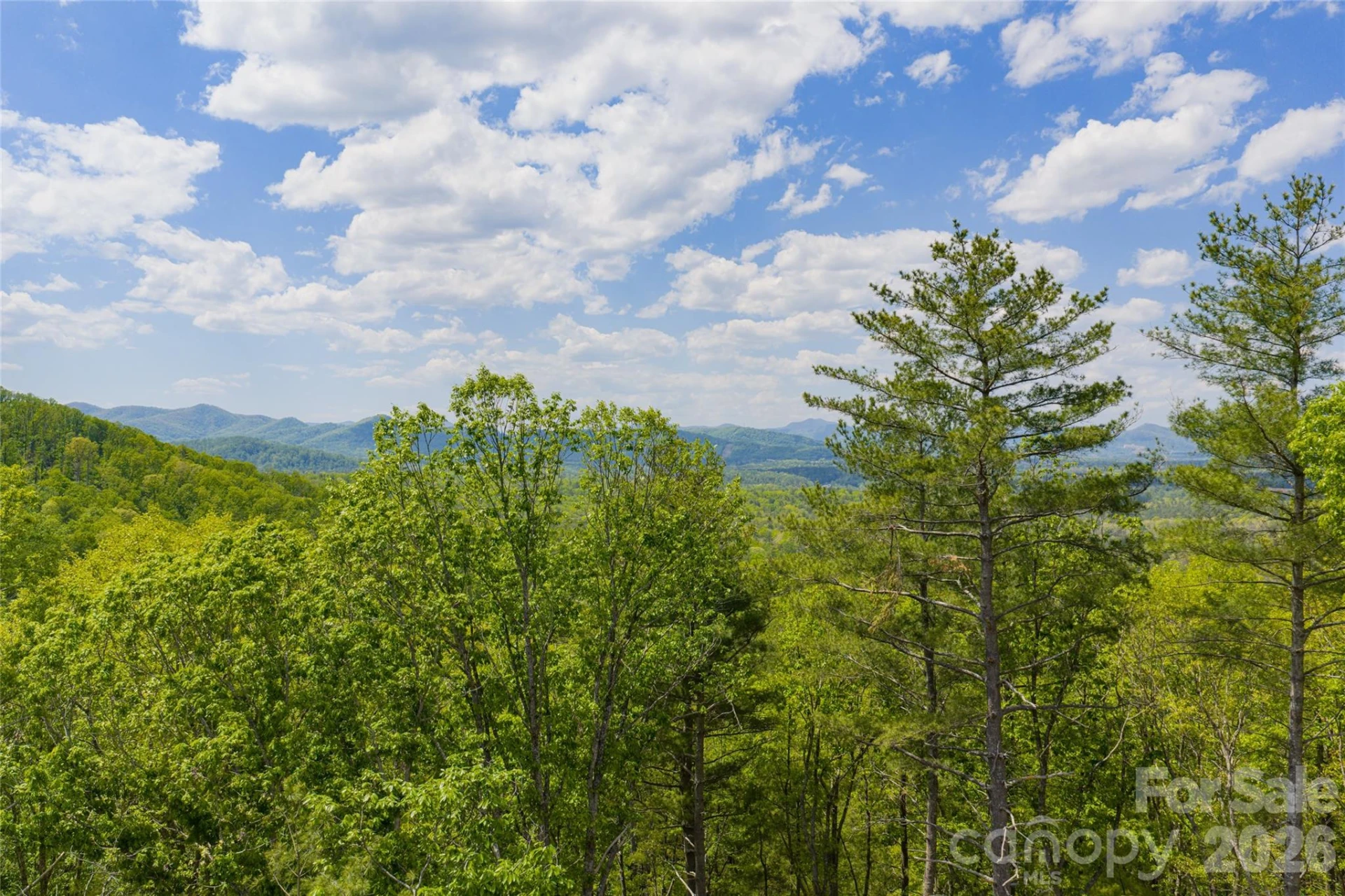 693 Tea House Drive #905 - Photo 4