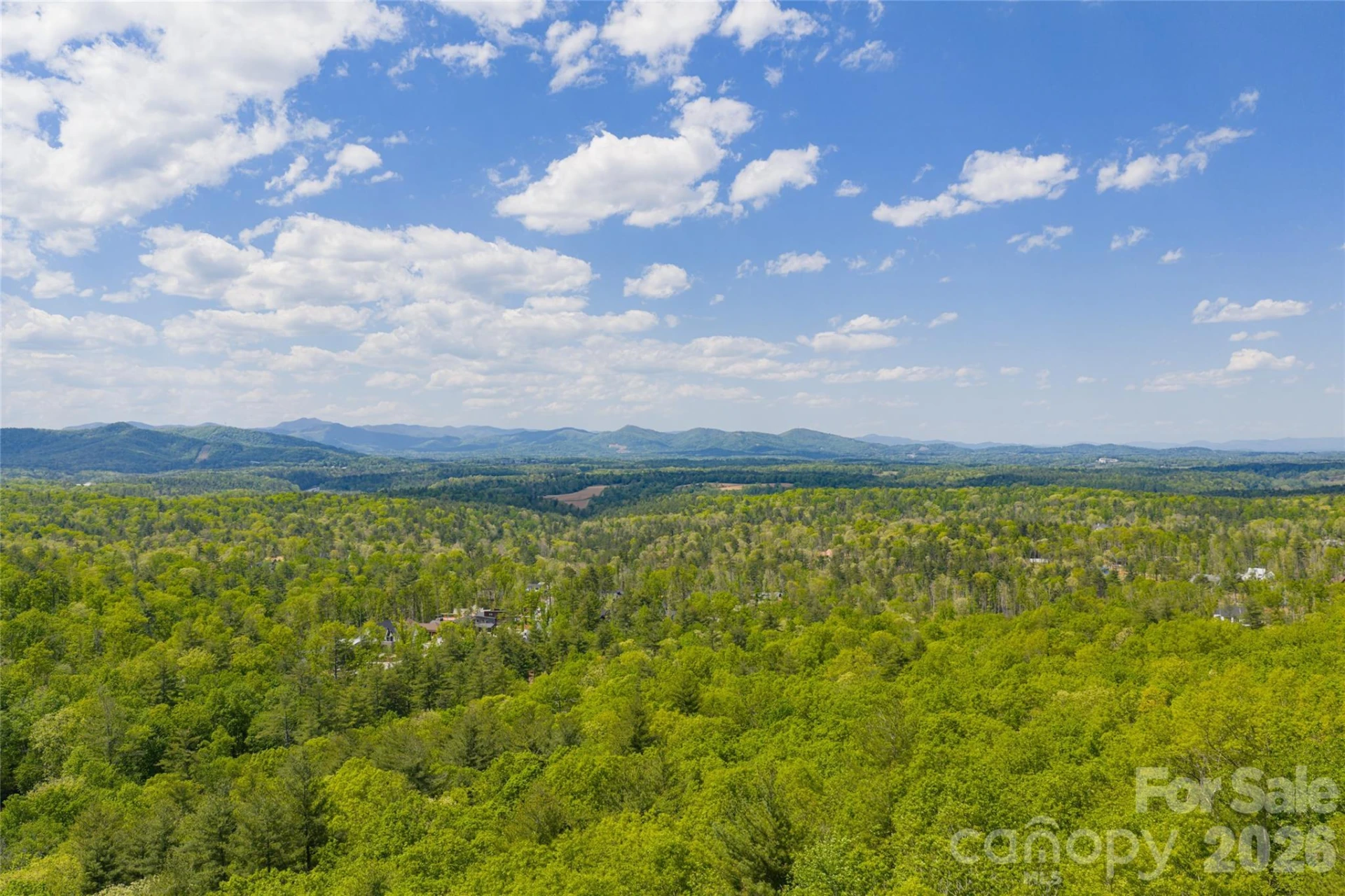 693 Tea House Drive #905 - Photo 5