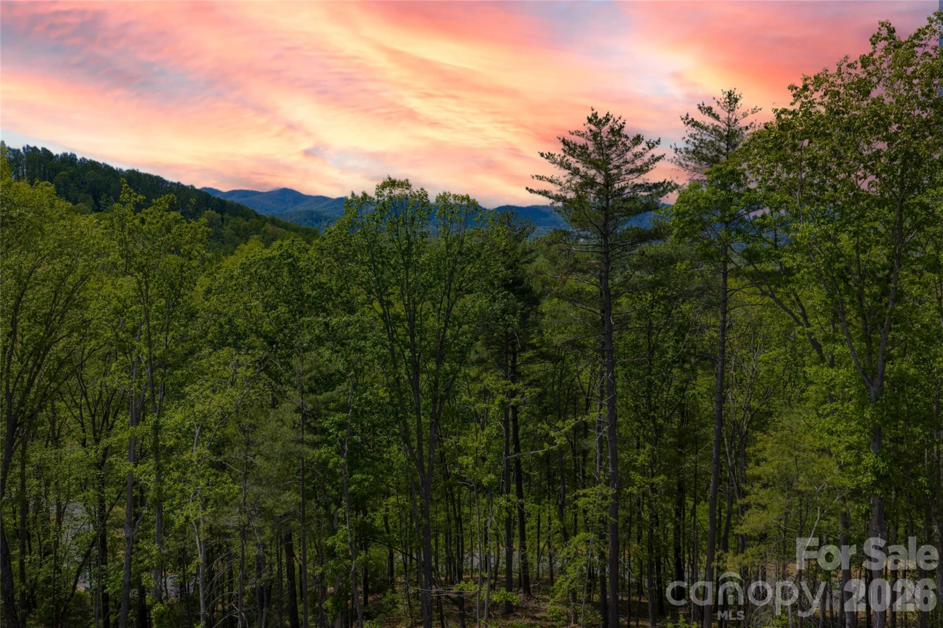 693 Tea House Drive #905 - Photo 6