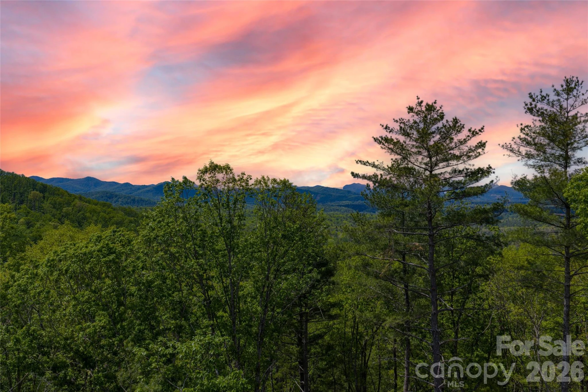 693 Tea House Drive #905 - Photo 9