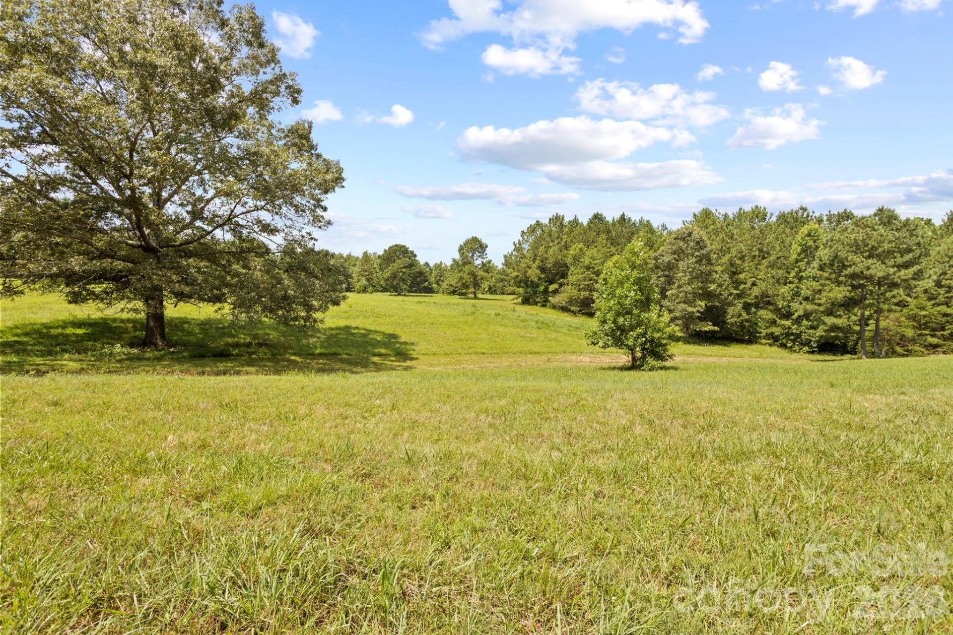 1896 E Green Creek Drive - Photo 34