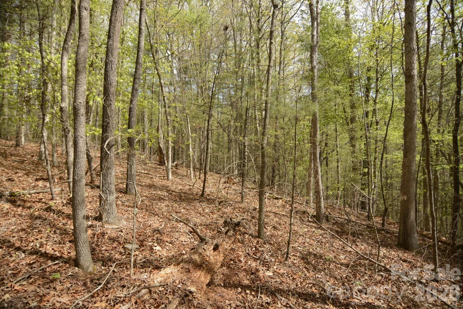 00 Garnet Drive - Photo 2