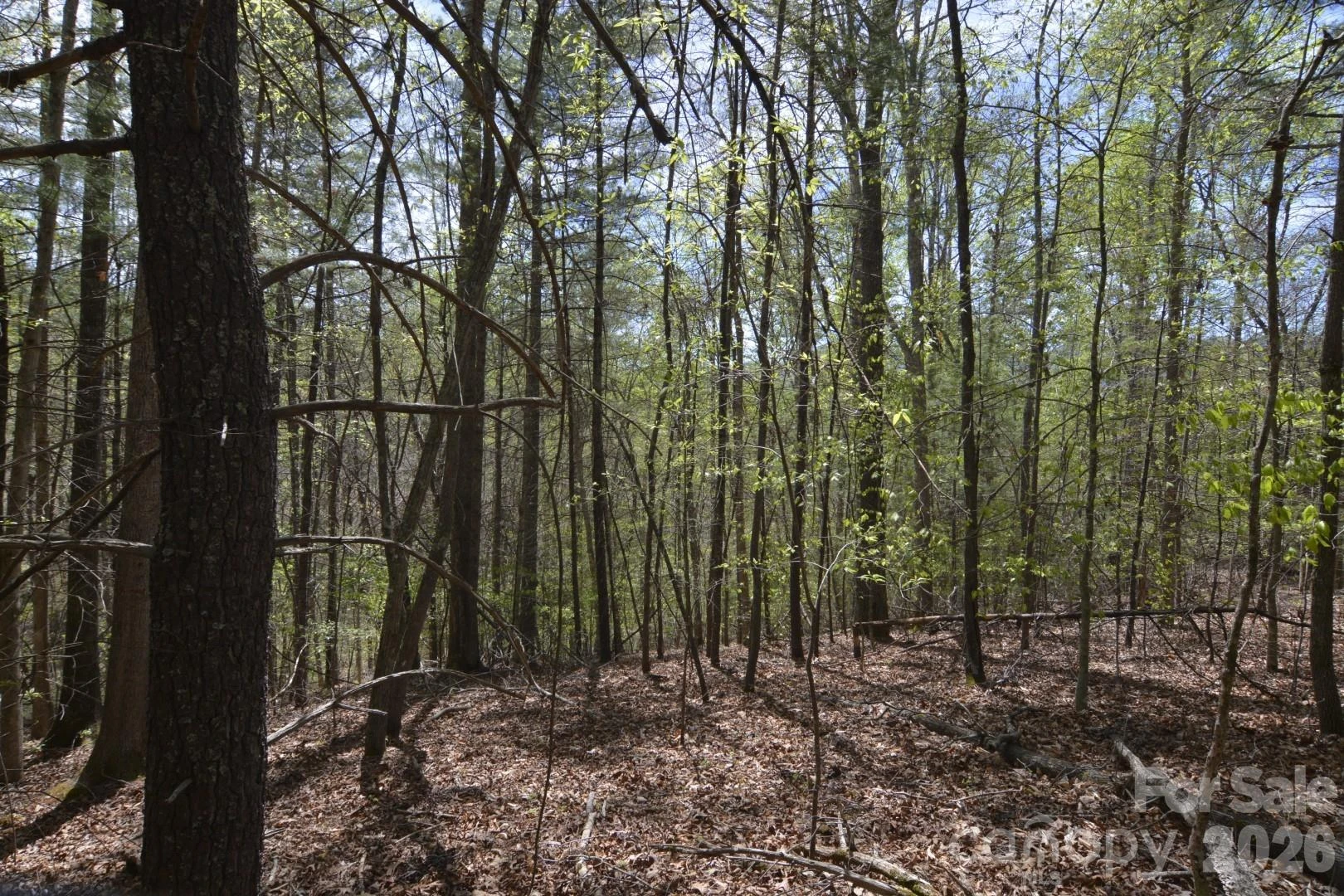 00 Garnet Drive - Photo 12