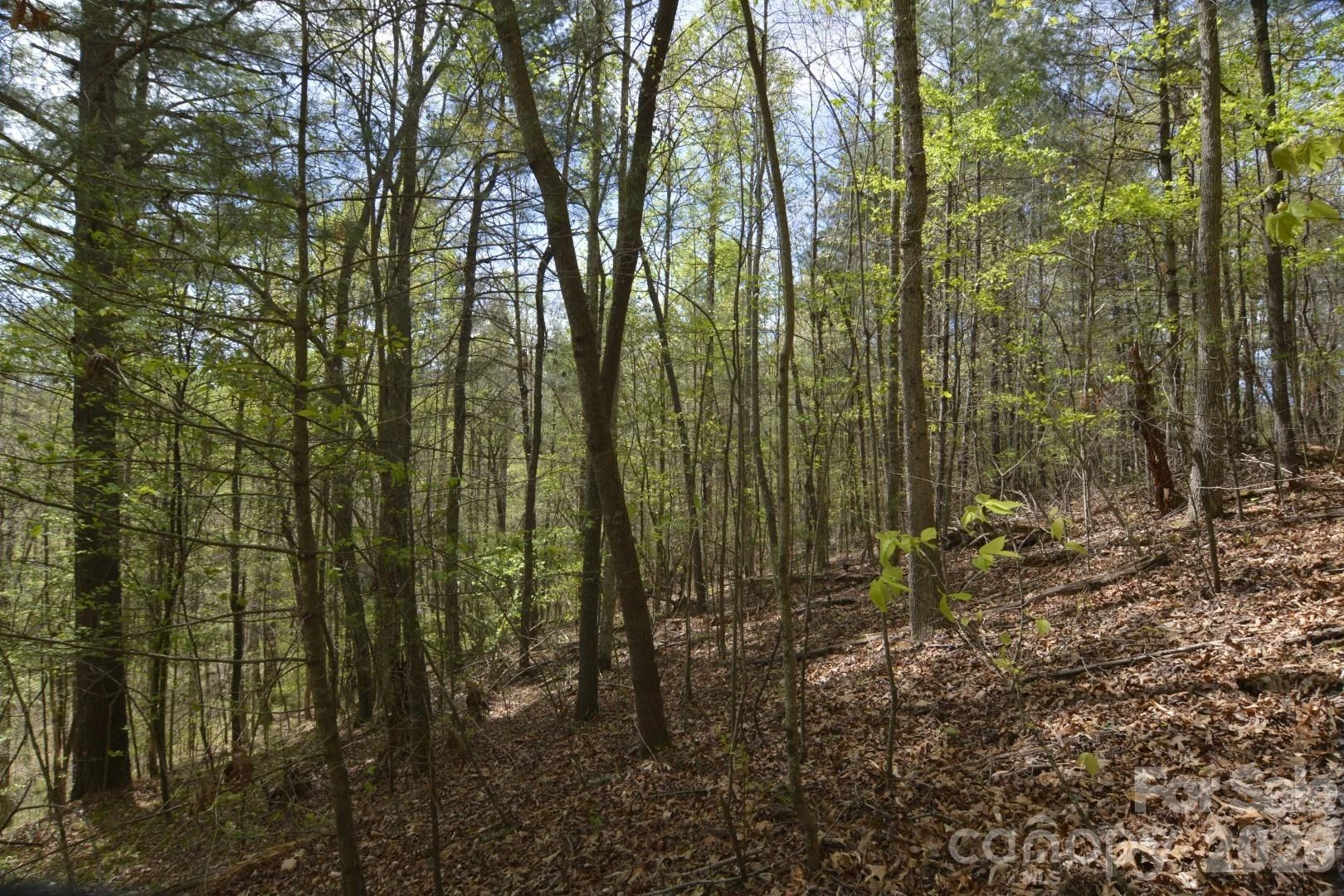 00 Garnet Drive - Photo 7