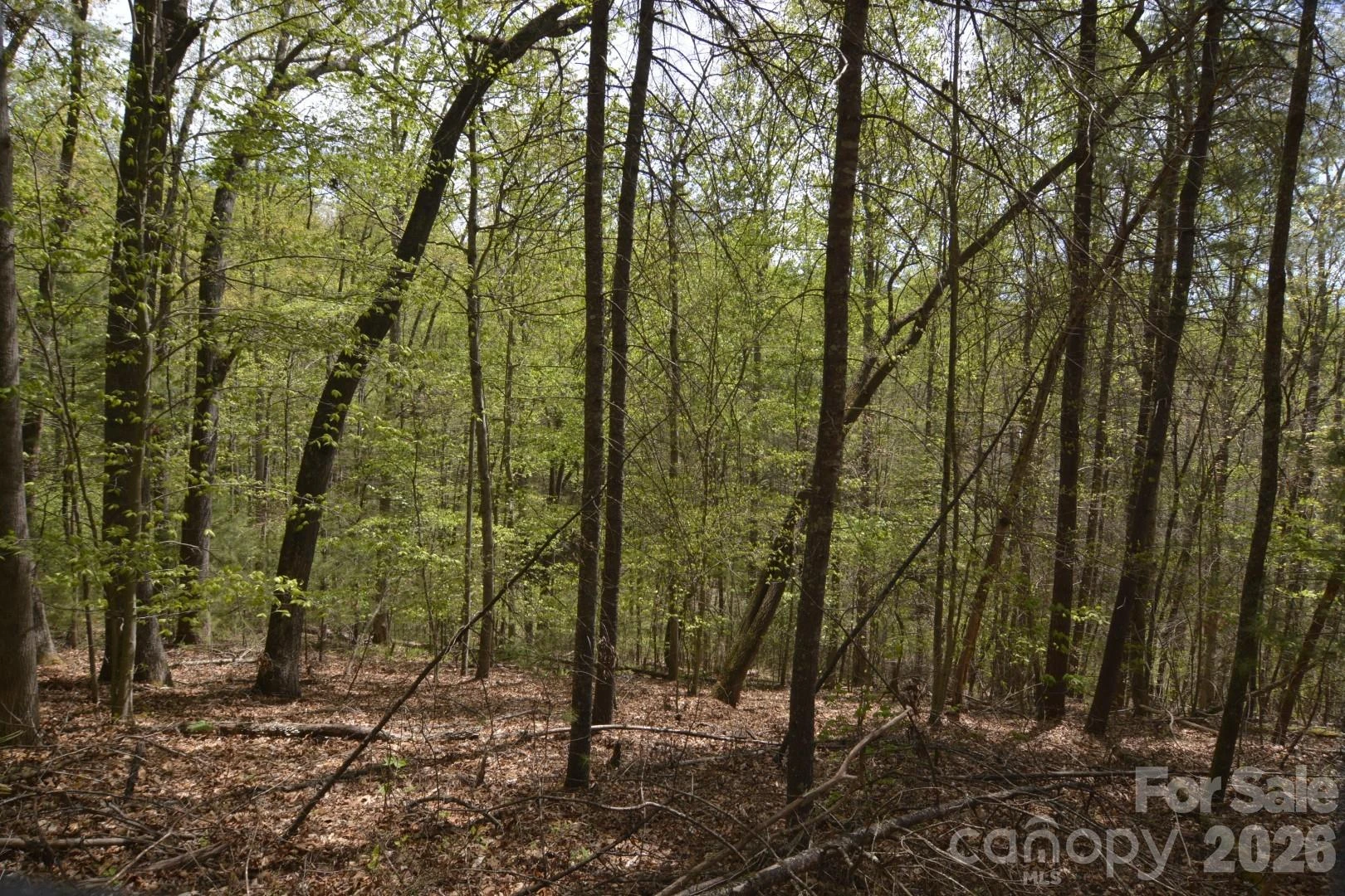 00 Garnet Drive - Photo 8