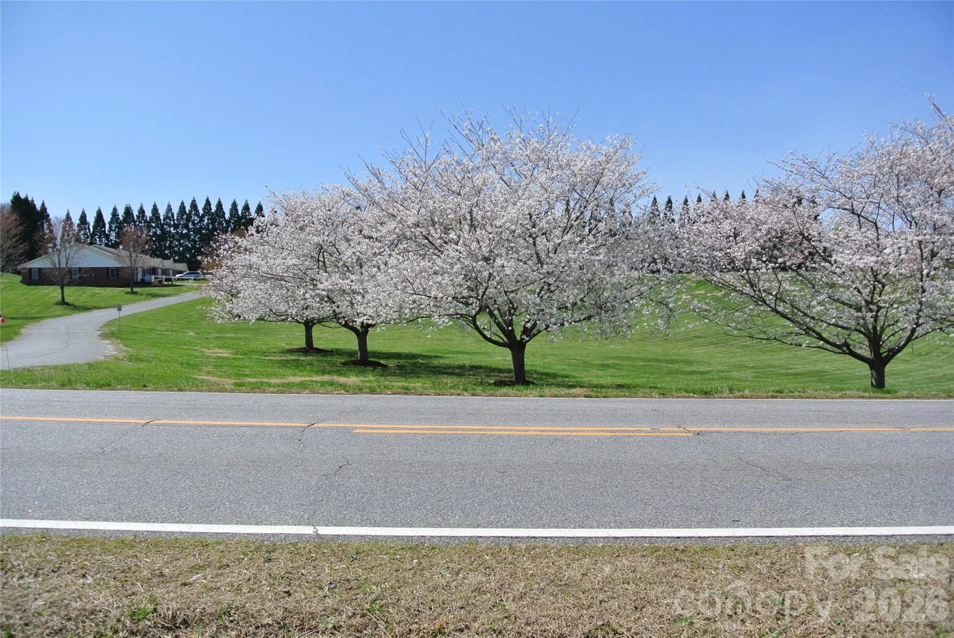 0 Hudlow Road - Photo 5