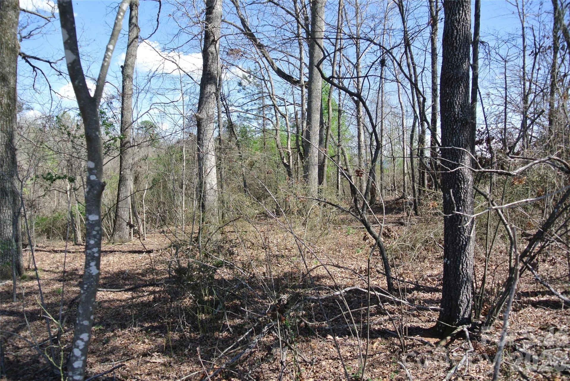 0 Hudlow Road - Photo 9
