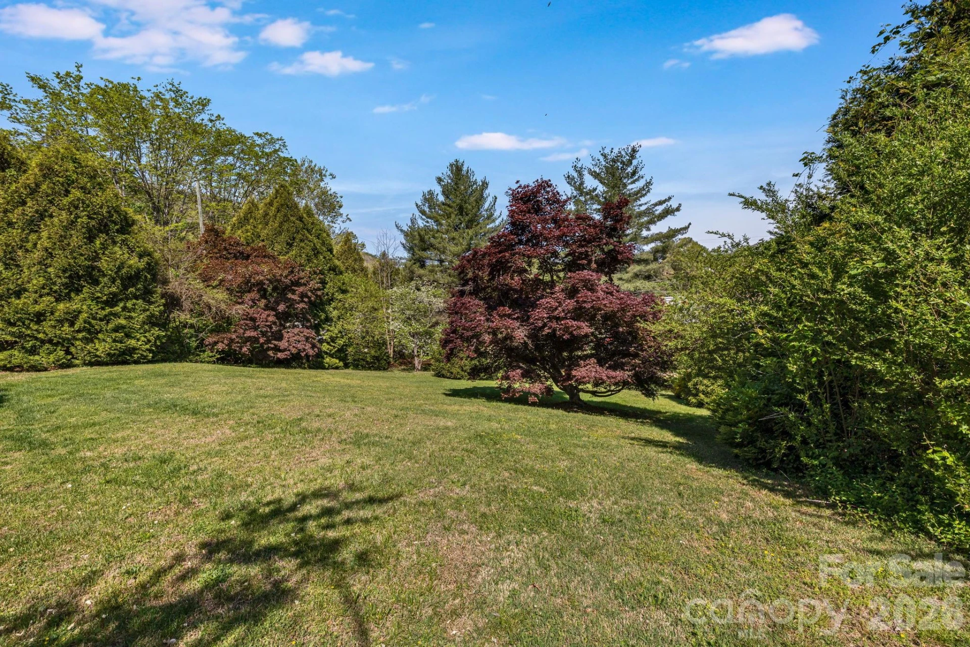 29 Walnut Street - Photo 42