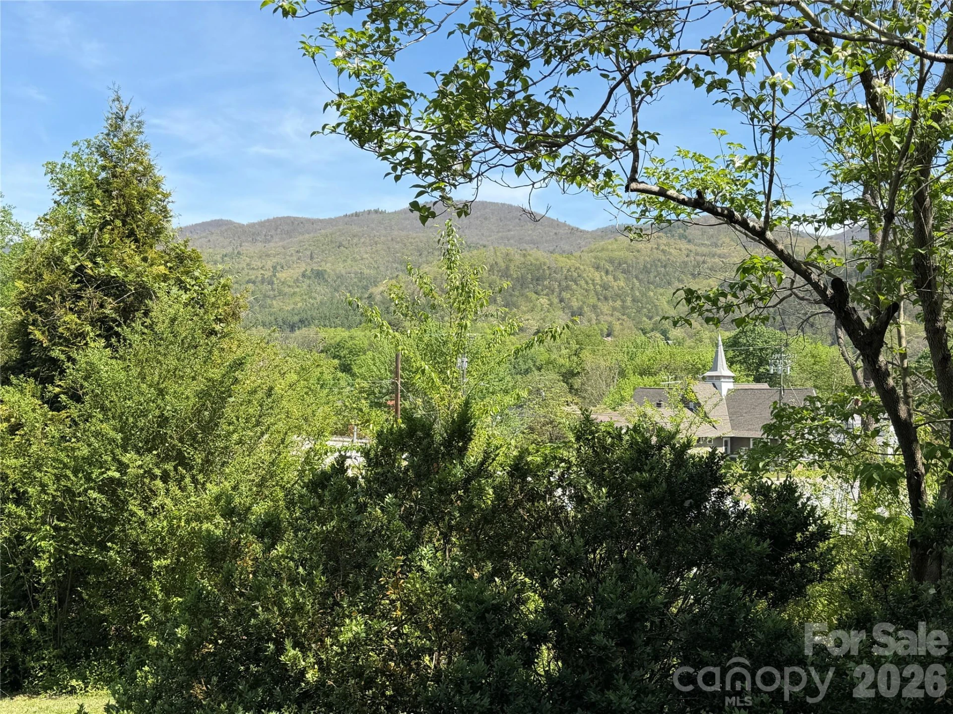 29 Walnut Street - Photo 44