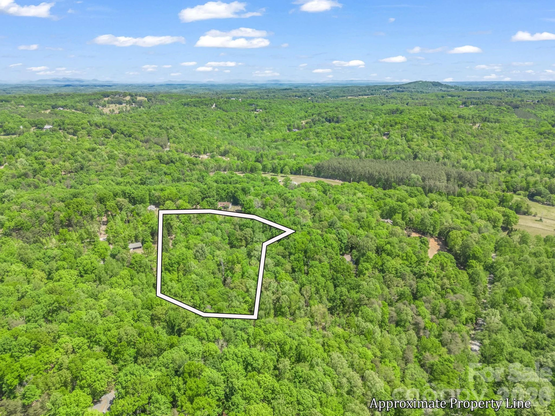 206 Westmoreland Trail #8 - Photo 12