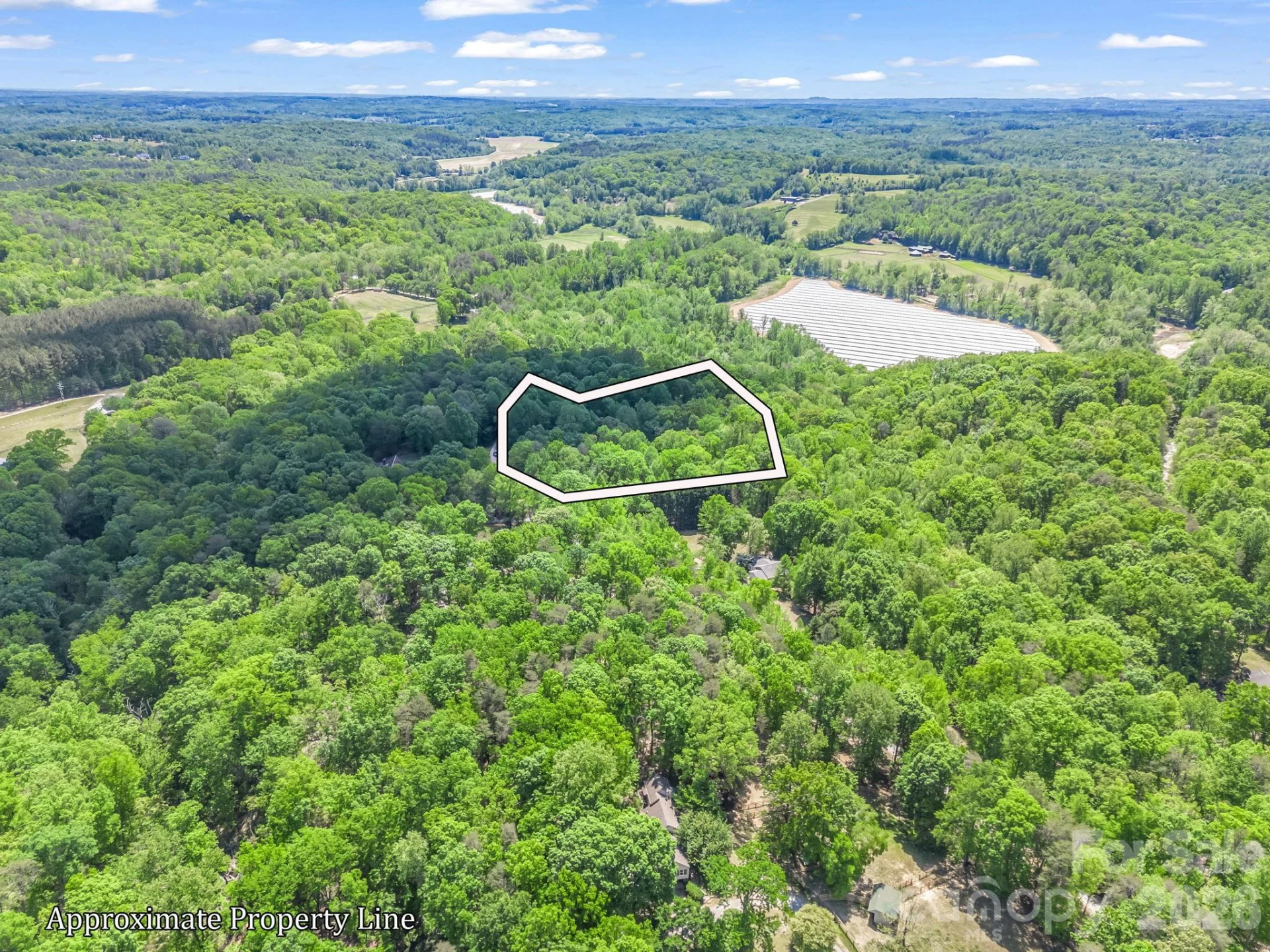 206 Westmoreland Trail #8 - Photo 13