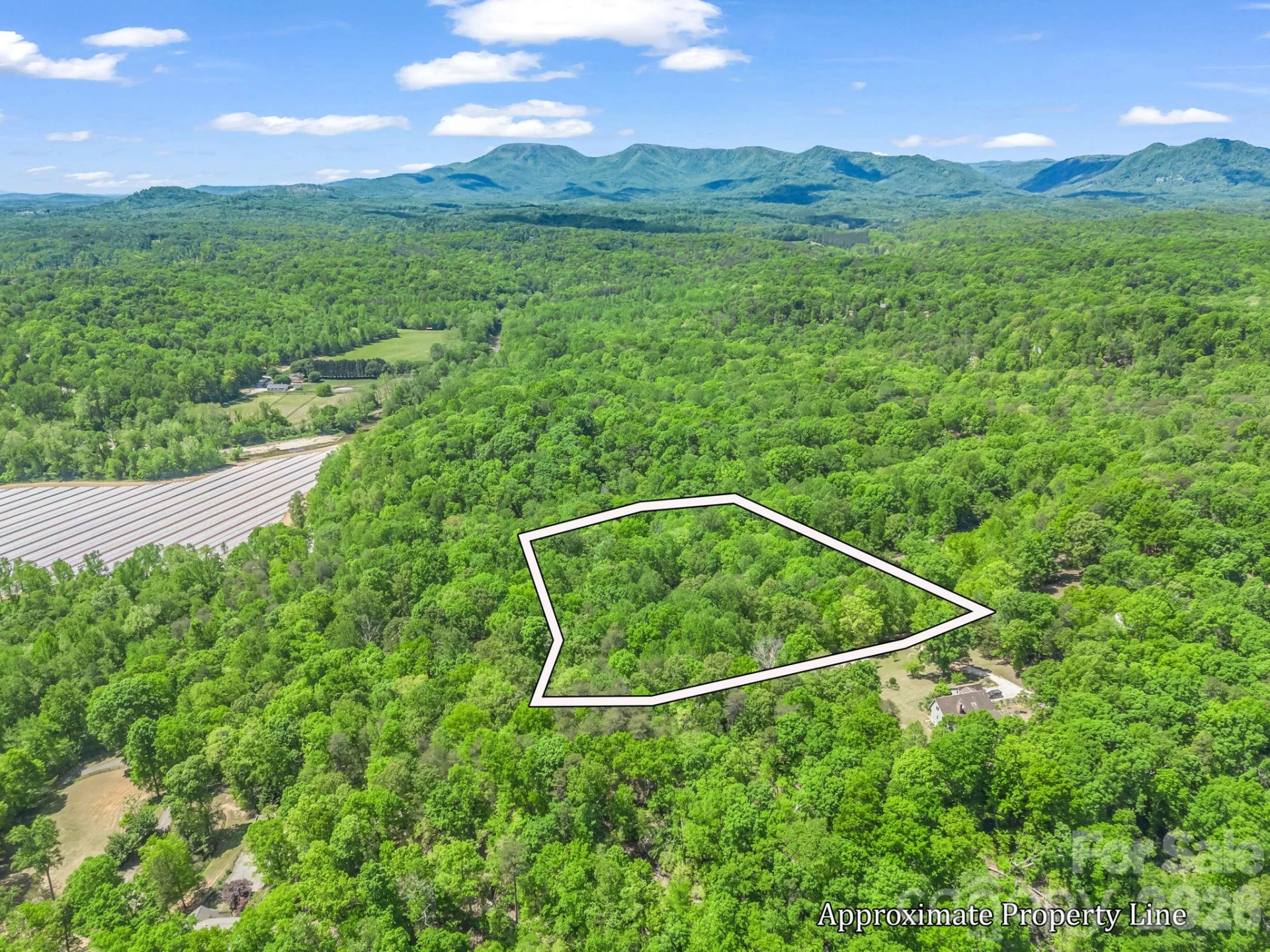 206 Westmoreland Trail #8 - Photo 15