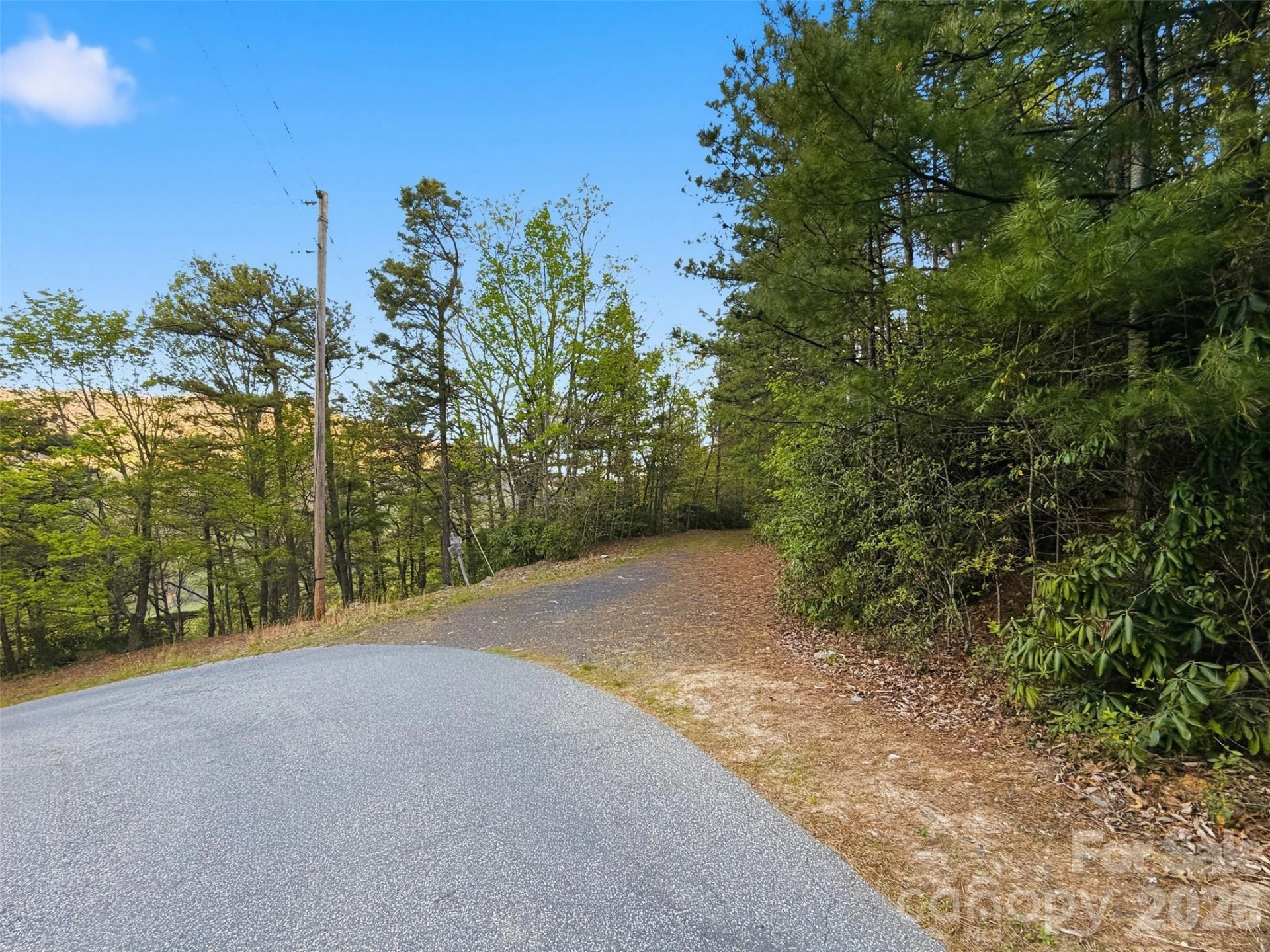 TBD Linville Drive #69 - Photo 14