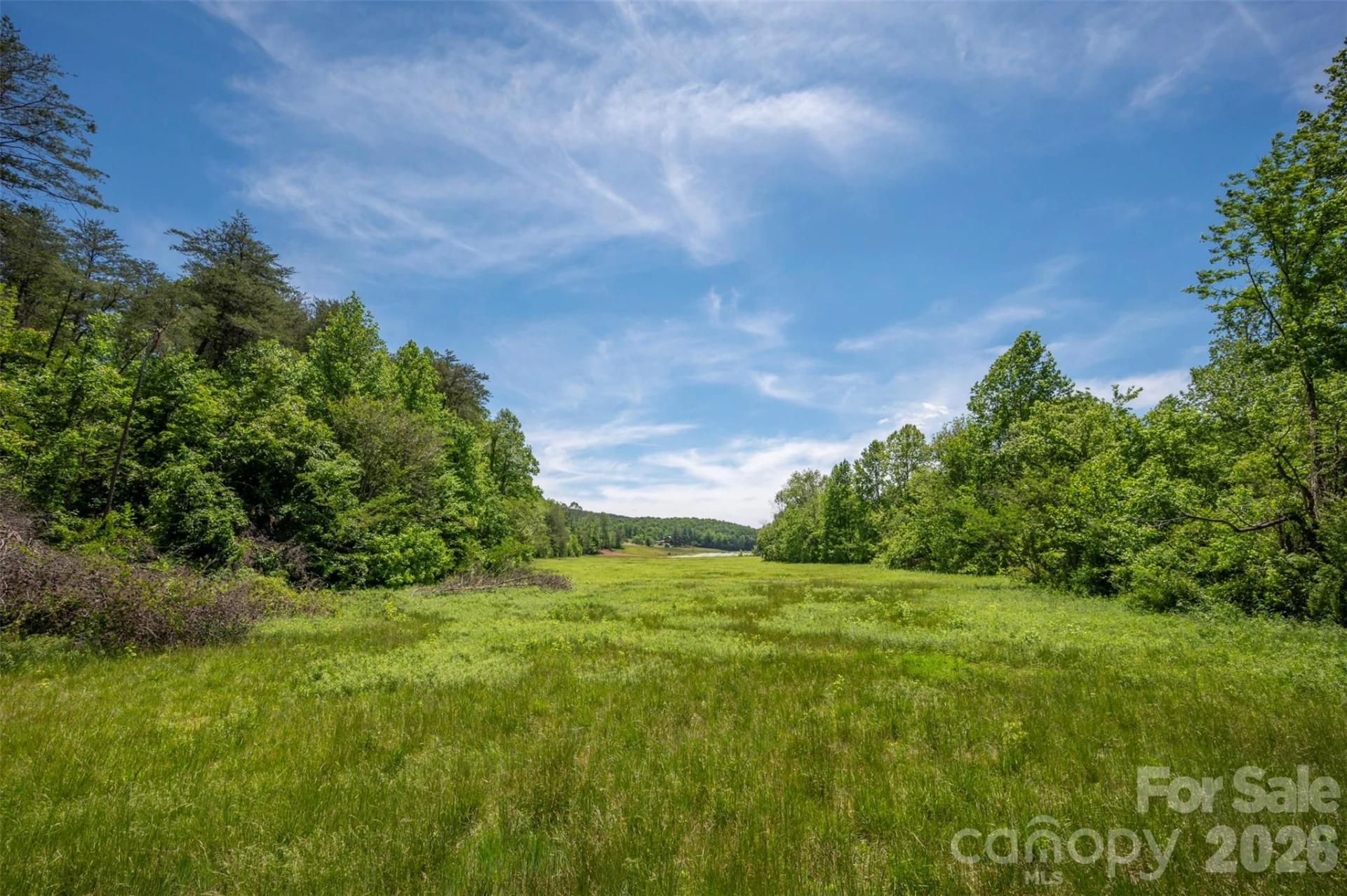 226 Big Rock Drive - Photo 33