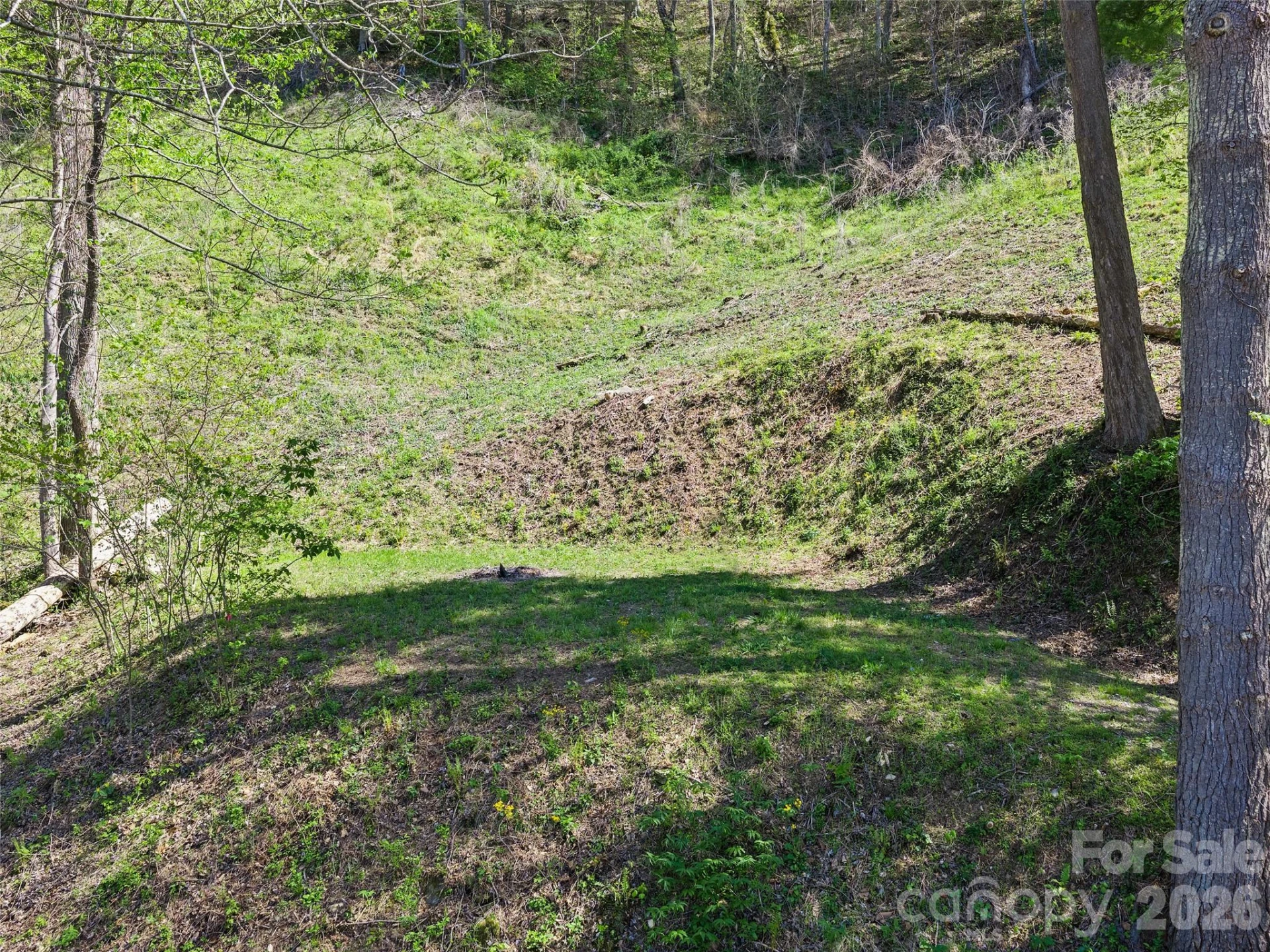 000 Little Pine Road - Photo 9