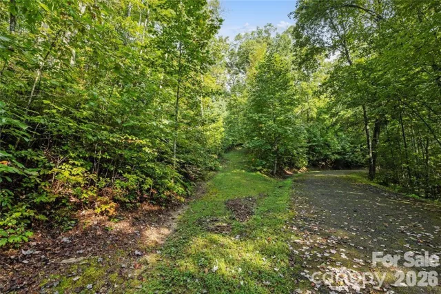 TBD Barts Branch Drive, Balsam Grove, NC, 28708