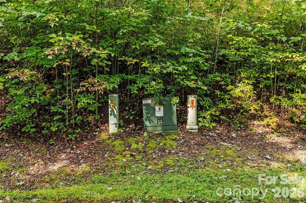 TBD Barts Branch Drive #13 - Photo 3