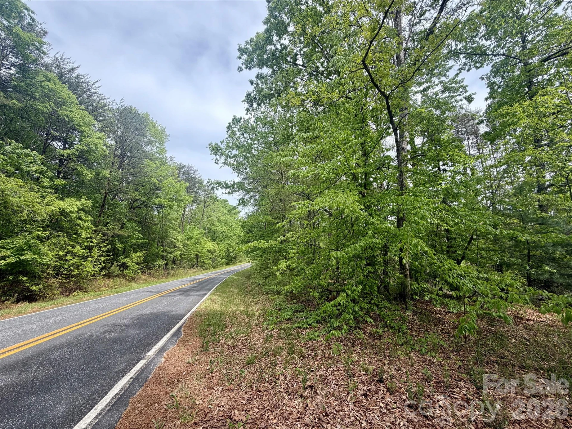 0 Polk County Line Road - Photo 20