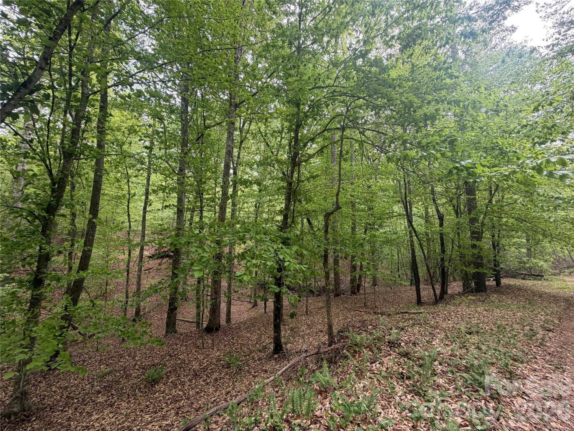 0 Polk County Line Road - Photo 22