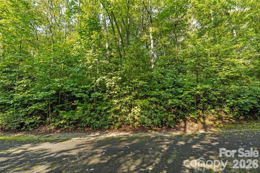 TBD Barts Branch Drive #16 - Photo 2