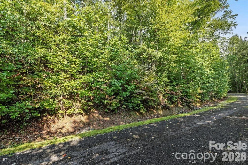 TBD Barts Branch Drive #16 - Photo 9
