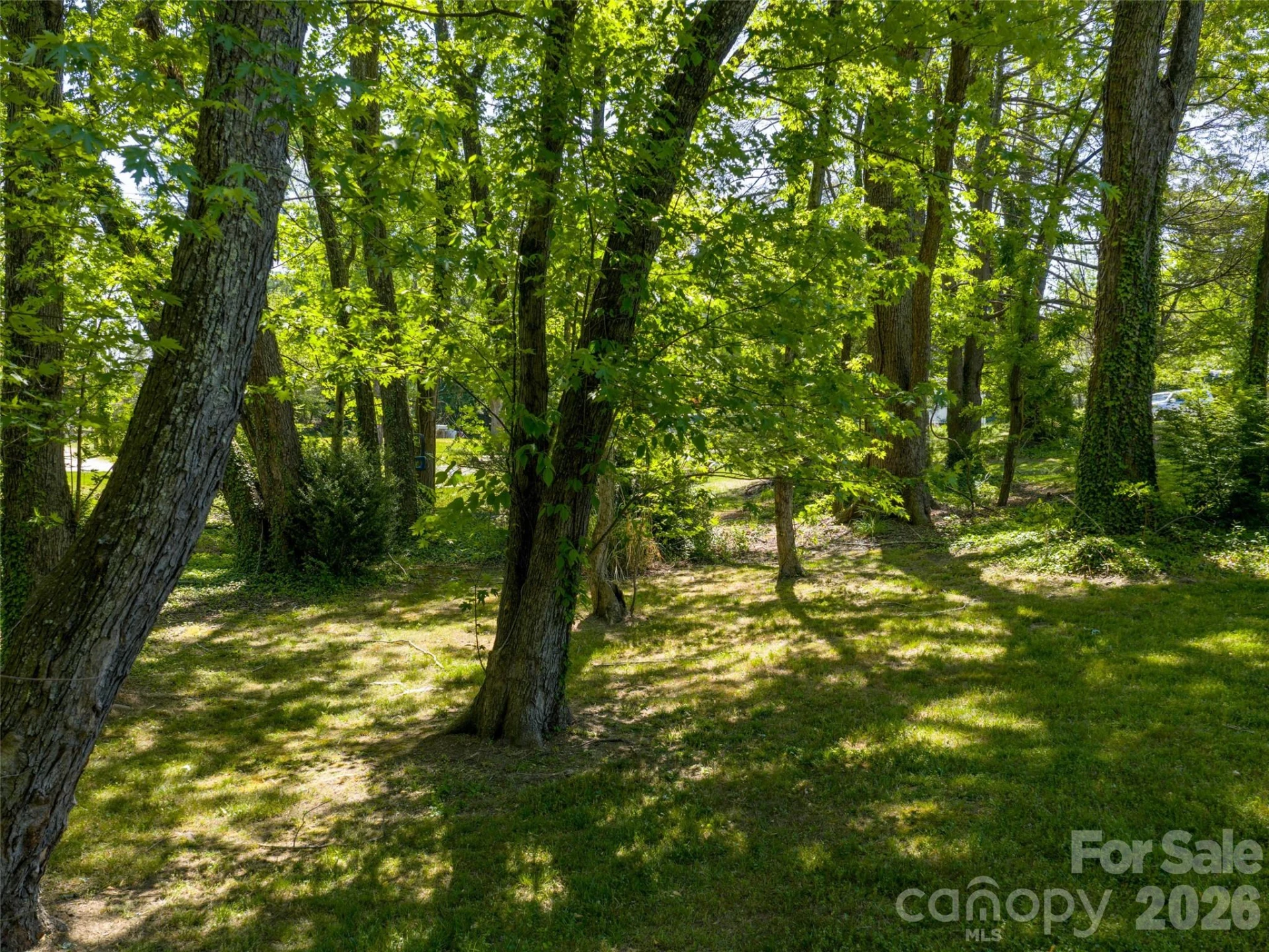 122 Glover Street - Photo 13