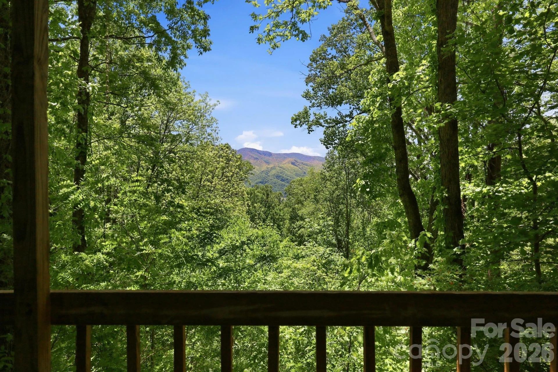 169 Sleepy Hollow Lane - Photo 28