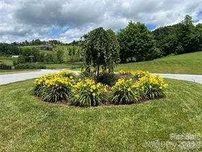 4642 Bearwallow Mountain Road #115 - Photo 3