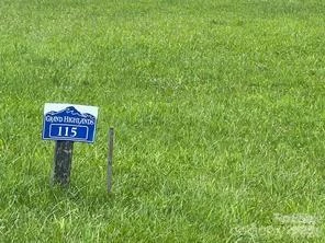 4642 Bearwallow Mountain Road #115 - Photo 20