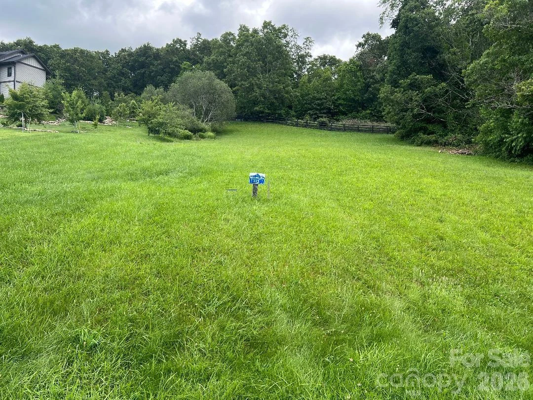 4642 Bearwallow Mountain Road #115 - Photo 23