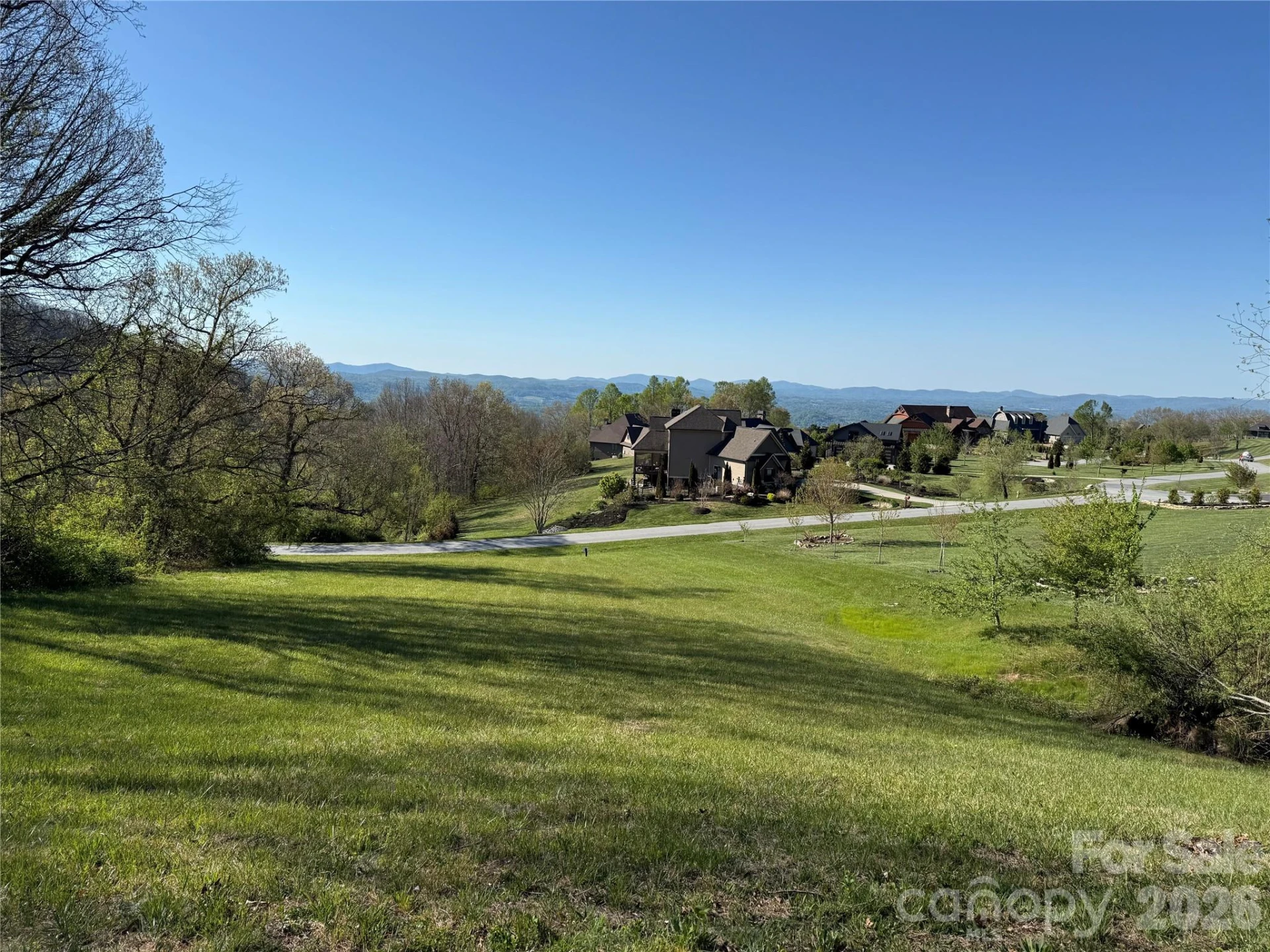 4642 Bearwallow Mountain Road #115 - Photo 25