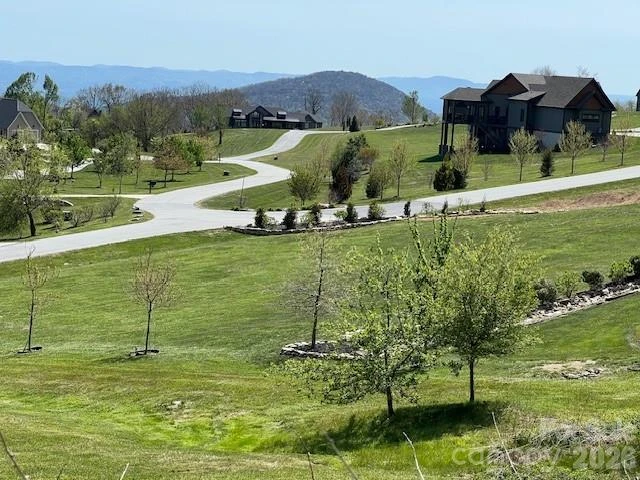 4642 Bearwallow Mountain Road #115 - Photo 26