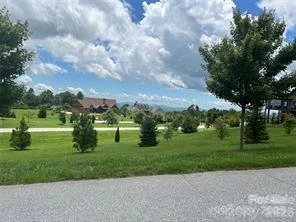 4642 Bearwallow Mountain Road #115 - Photo 6
