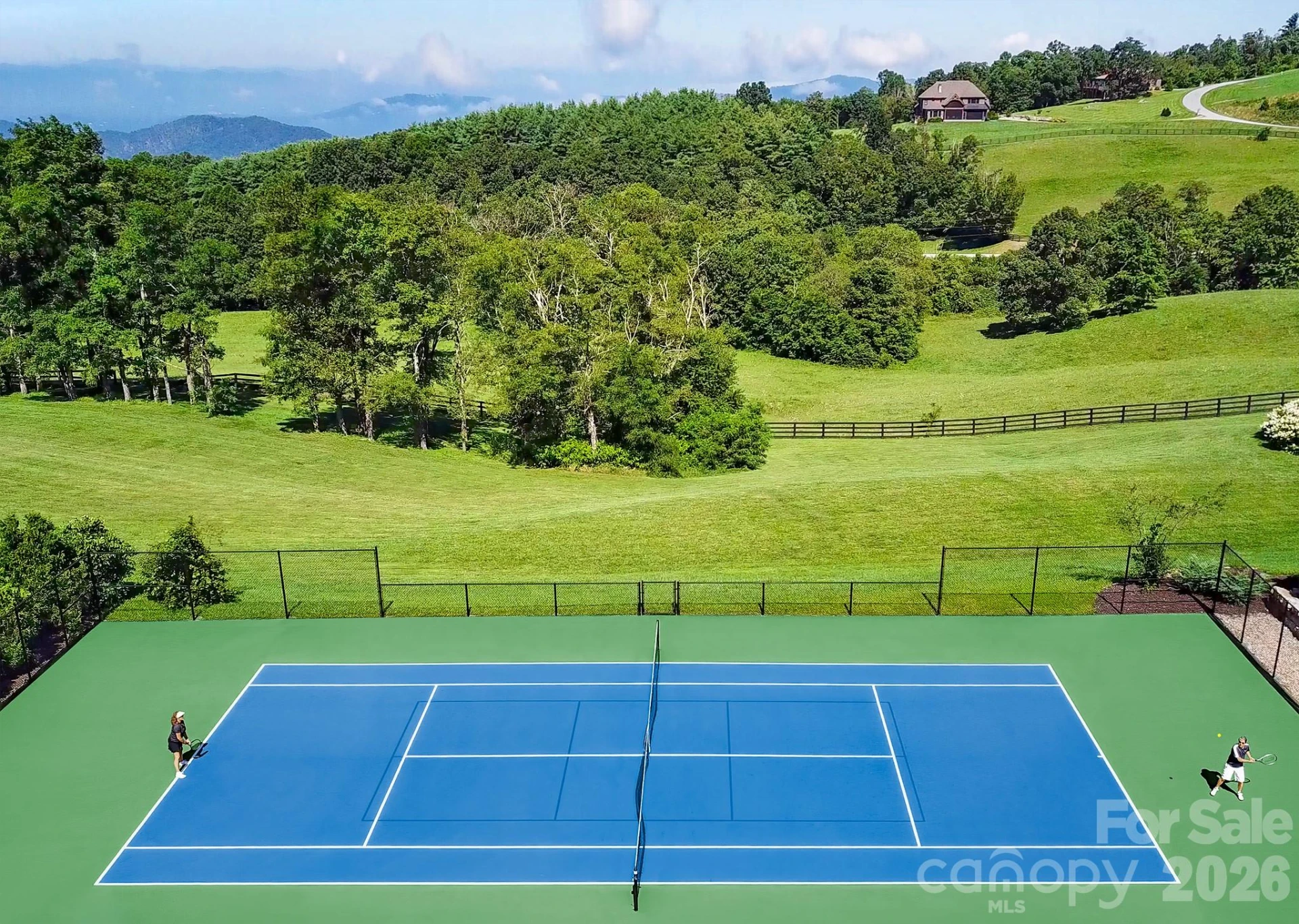 4642 Bearwallow Mountain Road #115 - Photo 14