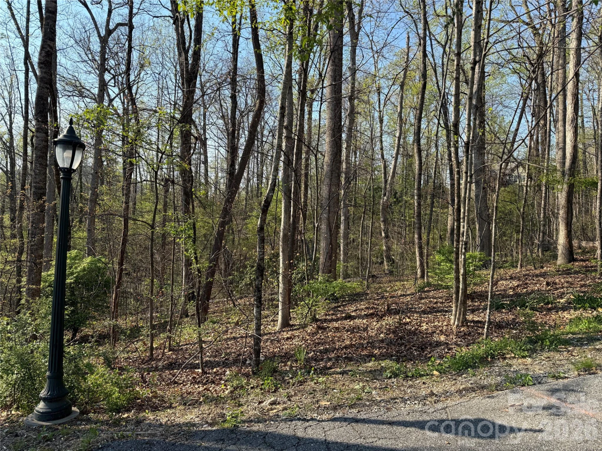 000 Woodlyn Etch Drive - Photo 14