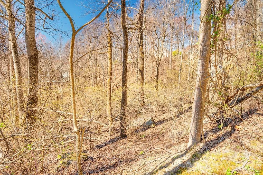 461 Somersby Parkway - Photo 5