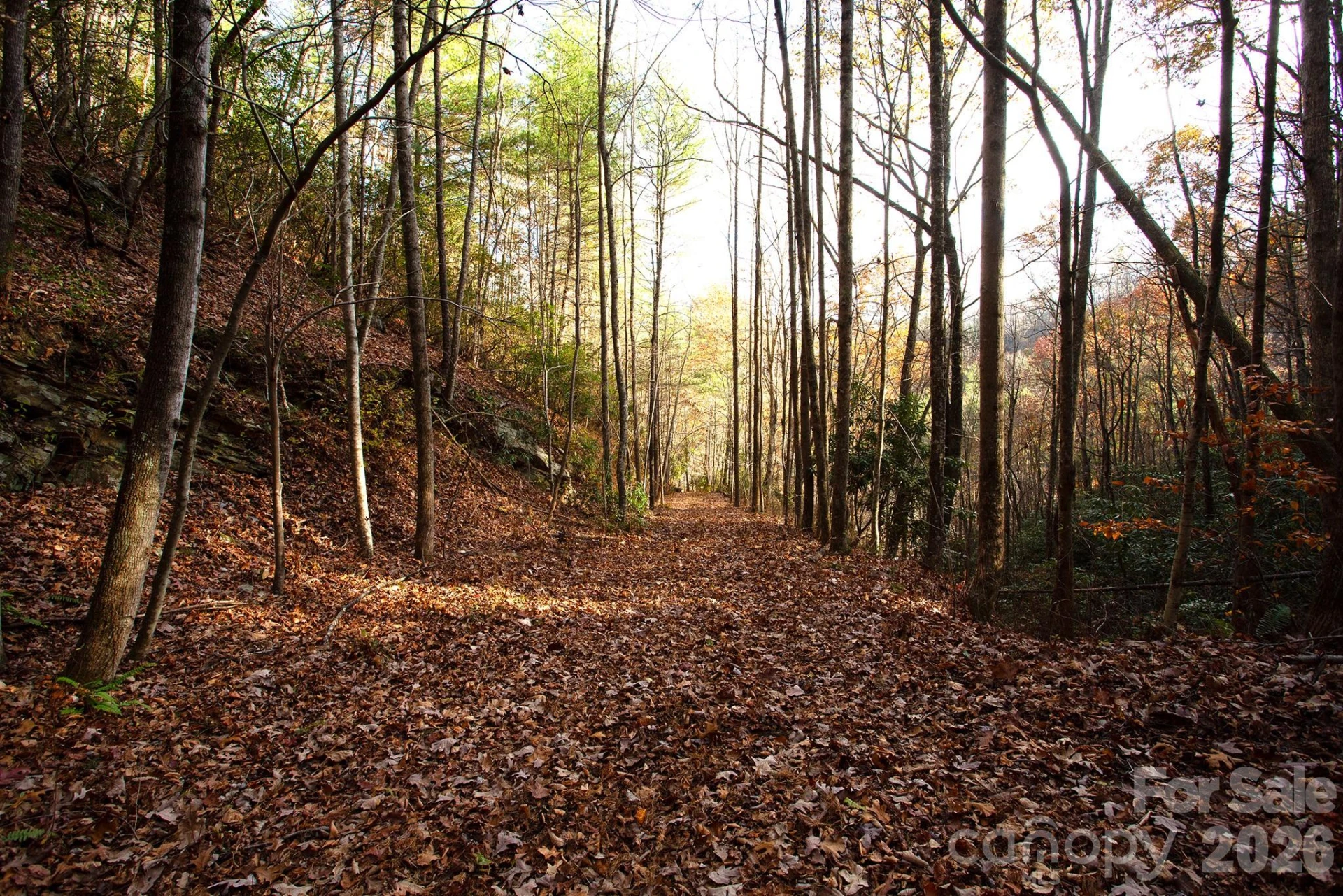 TBD Rector Branch Road #4 - Photo 2