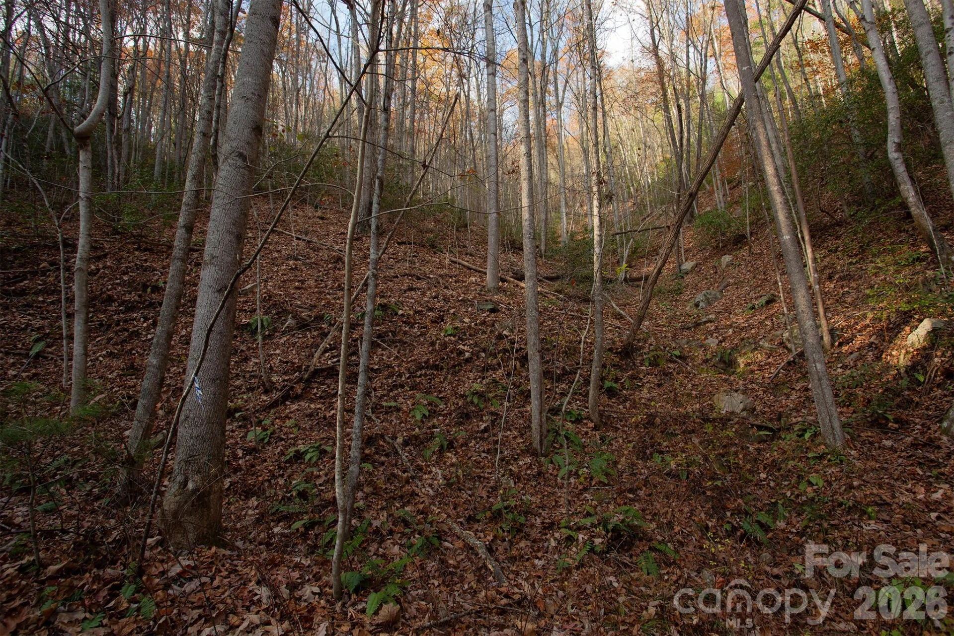 TBD Rector Branch Road #4 - Photo 4