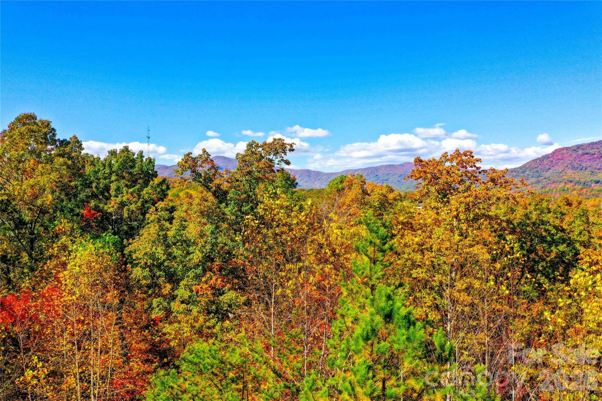 0 High Pines Loop #157 - Photo 3