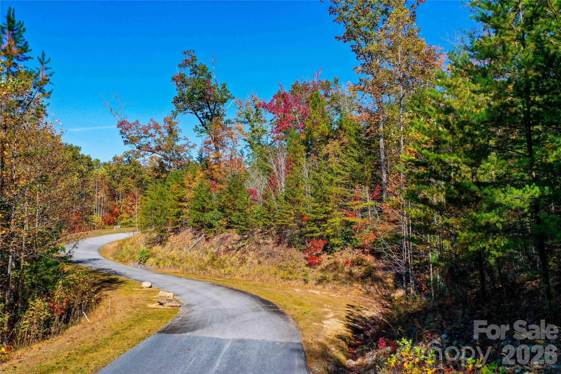 0 High Pines Loop #157 - Photo 14