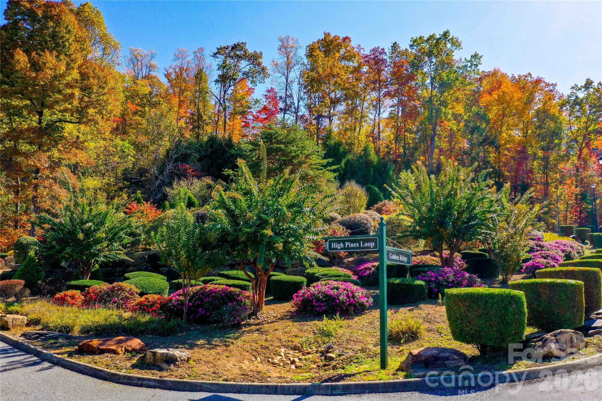 0 High Pines Loop #157 - Photo 18