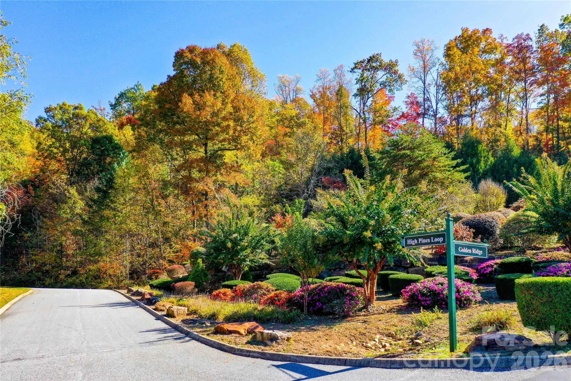0 High Pines Loop #157 - Photo 22