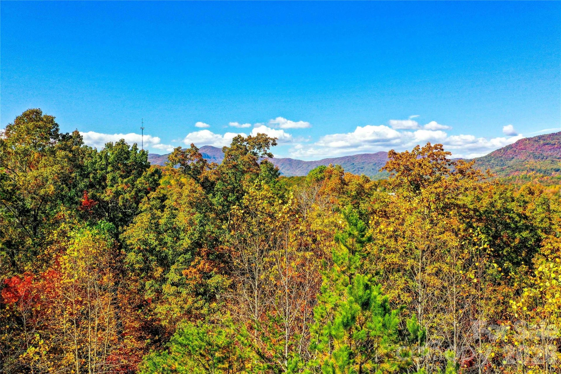 0 High Pines Loop #157 - Photo 4