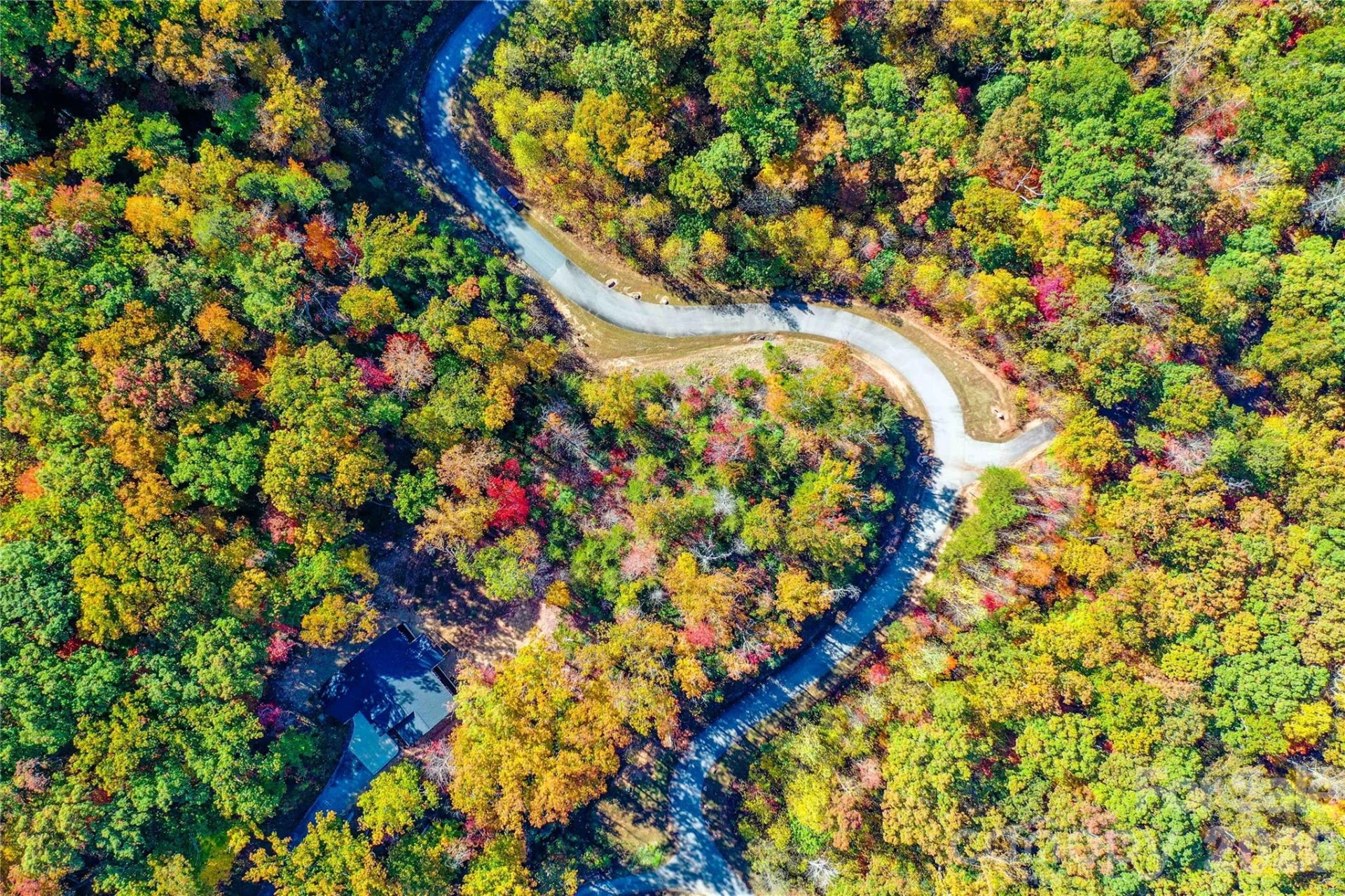 0 High Pines Loop #157 - Photo 6