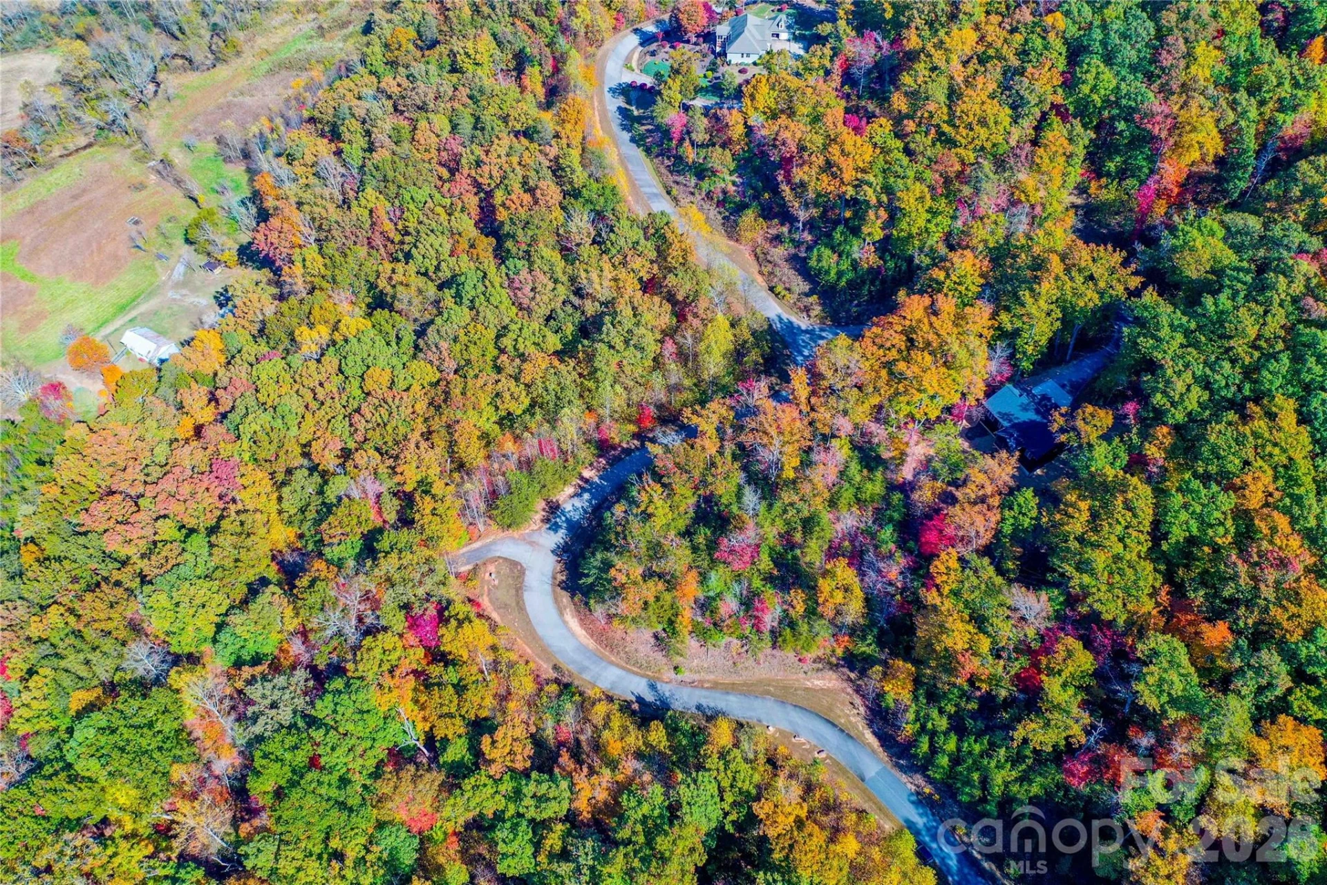 0 High Pines Loop #157 - Photo 8